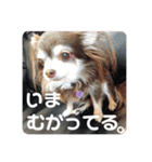りん❤️らい3（個別スタンプ：6）