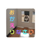 りん❤️らい3（個別スタンプ：7）