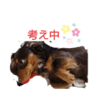 ココアっち♪（個別スタンプ：4）