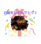 ココアっち♪（個別スタンプ：5）