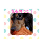 ココアっち♪（個別スタンプ：6）