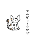 頭がいい人が使うスタンプ（個別スタンプ：11）