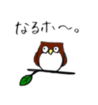 しら•たまを の意外と使えるスタンプ（個別スタンプ：11）