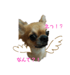 モカモカもかやん（個別スタンプ：2）