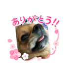 モカモカもかやん（個別スタンプ：4）