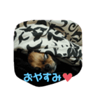 モカモカもかやん（個別スタンプ：6）