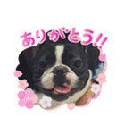 こだかのココすたんぷ（個別スタンプ：8）