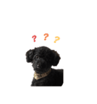じゃっ（個別スタンプ：3）