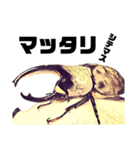 Beetle＆Stag beetle vol.3（個別スタンプ：3）