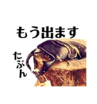 Beetle＆Stag beetle vol.3（個別スタンプ：4）