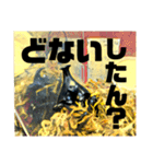 Beetle＆Stag beetle vol.3（個別スタンプ：5）