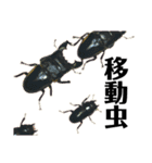 Beetle＆Stag beetle vol.3（個別スタンプ：10）