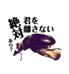 Beetle＆Stag beetle vol.3（個別スタンプ：13）