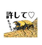 Beetle＆Stag beetle vol.3（個別スタンプ：14）