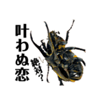 Beetle＆Stag beetle vol.3（個別スタンプ：18）