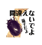 Beetle＆Stag beetle vol.3（個別スタンプ：22）