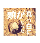 Beetle＆Stag beetle vol.3（個別スタンプ：24）