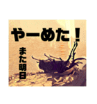 Beetle＆Stag beetle vol.3（個別スタンプ：35）