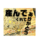 Beetle＆Stag beetle vol.3（個別スタンプ：36）