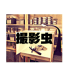 Beetle＆Stag beetle vol.3（個別スタンプ：38）