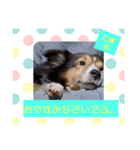 こまちの1日（個別スタンプ：4）
