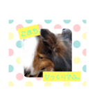 こまちの1日（個別スタンプ：5）