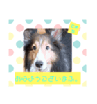 こまちの1日（個別スタンプ：6）