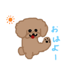 トイプーここあの日常会話（個別スタンプ：1）