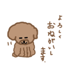 トイプーここあの日常会話（個別スタンプ：2）