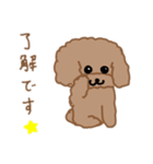 トイプーここあの日常会話（個別スタンプ：3）