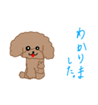 トイプーここあの日常会話（個別スタンプ：4）