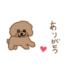 トイプーここあの日常会話（個別スタンプ：5）