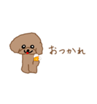 トイプーここあの日常会話（個別スタンプ：7）