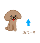トイプーここあの日常会話（個別スタンプ：10）