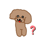 トイプーここあの日常会話（個別スタンプ：11）