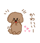 トイプーここあの日常会話（個別スタンプ：12）