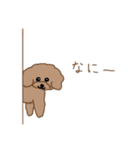 トイプーここあの日常会話（個別スタンプ：13）