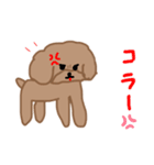 トイプーここあの日常会話（個別スタンプ：14）