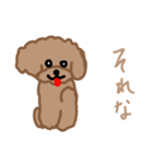 トイプーここあの日常会話（個別スタンプ：15）