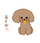 トイプーここあの日常会話（個別スタンプ：18）