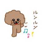 トイプーここあの日常会話（個別スタンプ：19）