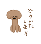 トイプーここあの日常会話（個別スタンプ：20）
