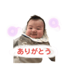 毎日ピロくん（個別スタンプ：1）