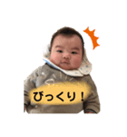 毎日ピロくん（個別スタンプ：2）