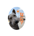 アシュリースタンプ（個別スタンプ：1）
