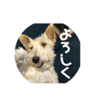 アシュリースタンプ（個別スタンプ：2）