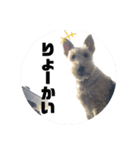 アシュリースタンプ（個別スタンプ：3）