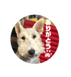 アシュリースタンプ（個別スタンプ：8）