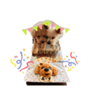 みにぃ時々アース。（個別スタンプ：2）