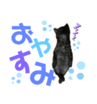 とっぷの日常（個別スタンプ：1）